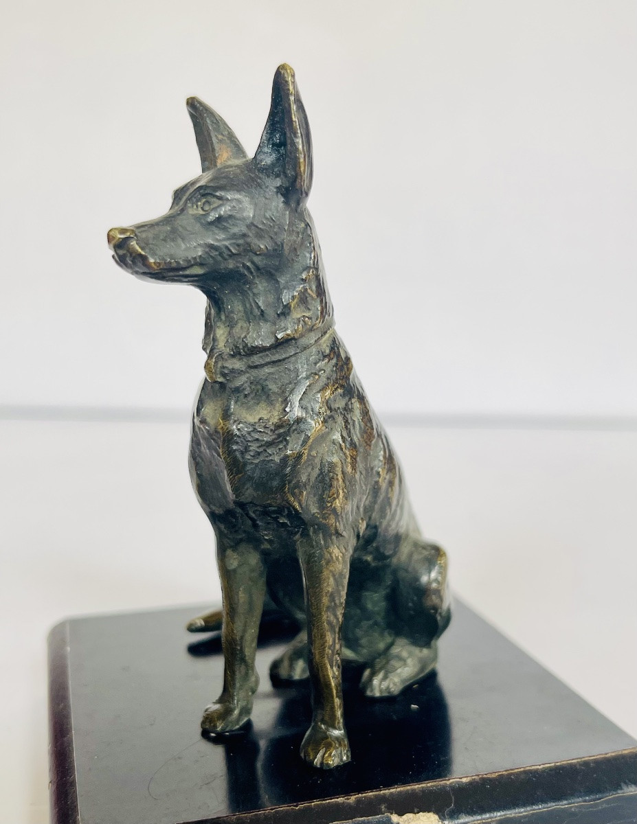 German Bernier Dog In Bronze -photo-2